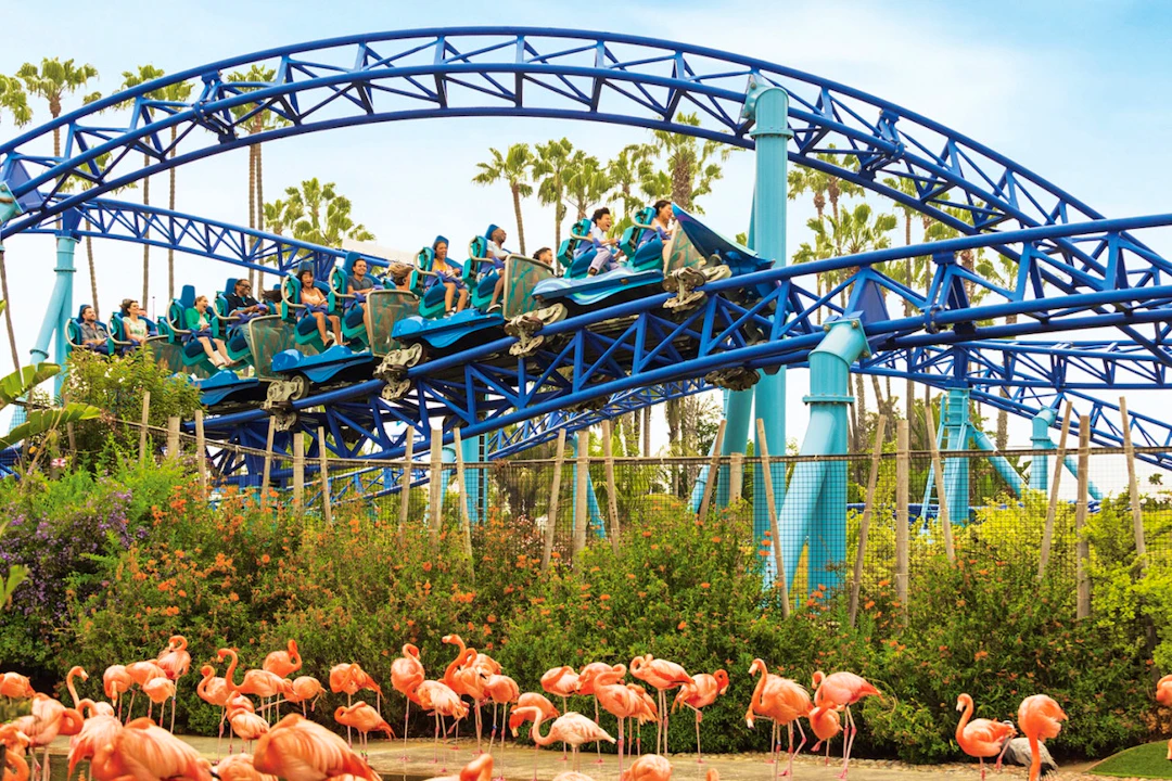 SeaWorld San Diego Ticket: Direct Entry Price